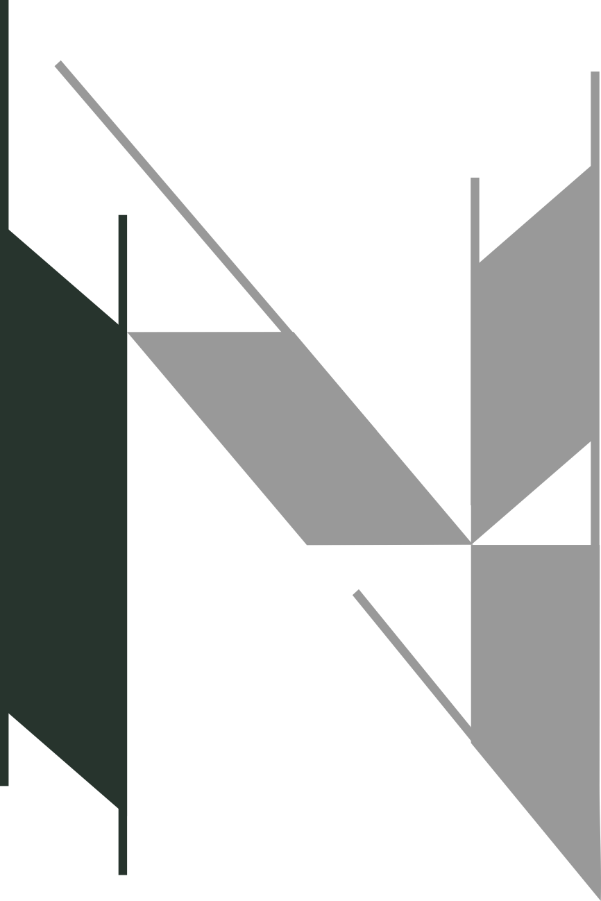 Nexo